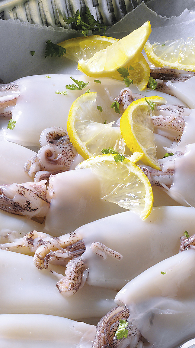 Calamari_indopacifici_detail_33113 Calamari_indopacifici_detail_33113